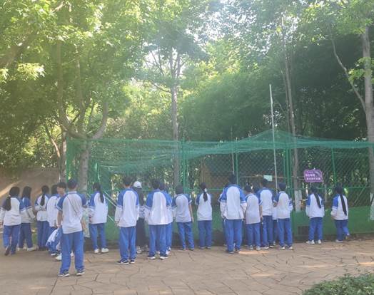 80c8f4b48d8a5059fdc78626827ee3b